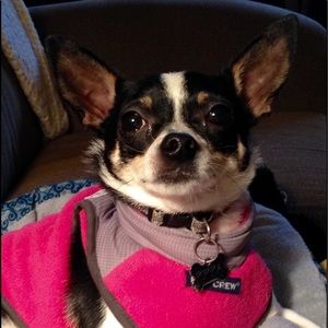 Meet your Posher, Betheny