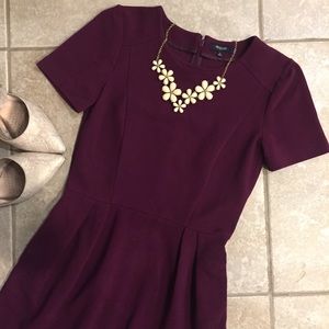 Gorgeous Plum Madewell Dress