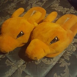 Charizard Slides
