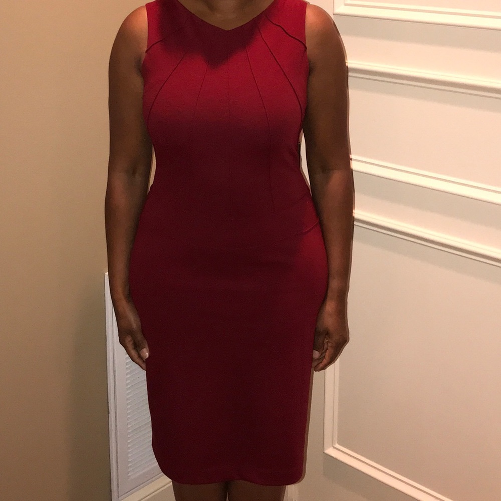 BCBG MaxAzaria Brick Red Sheath Dress