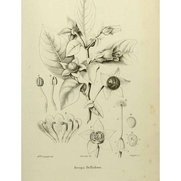 Meet your Posher, Jerry - Picture 1 of 1