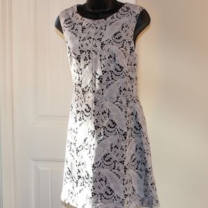 H&M Women's Lace Dress Size 10 With Exposed Zipper