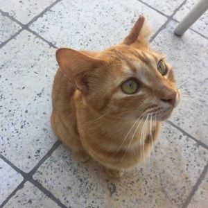 Meet your Posher, Shawn