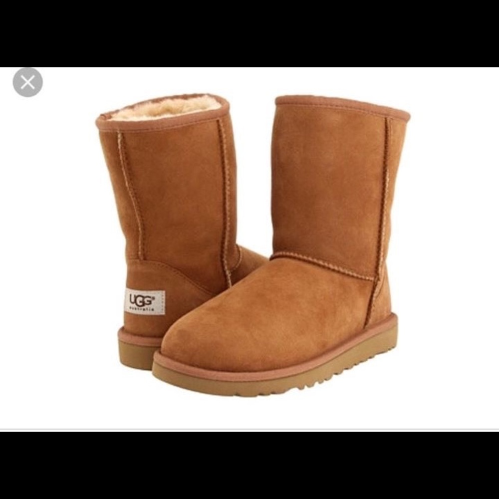Ugg classic