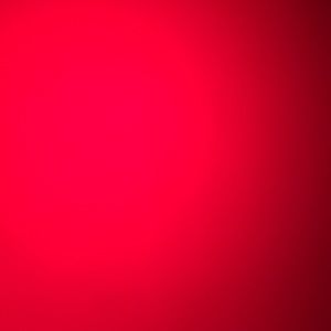 Meet your Posher, Peyton