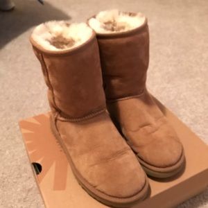 Classic Short Chestnut Uggs