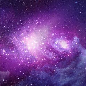 Meet your Posher, Ella