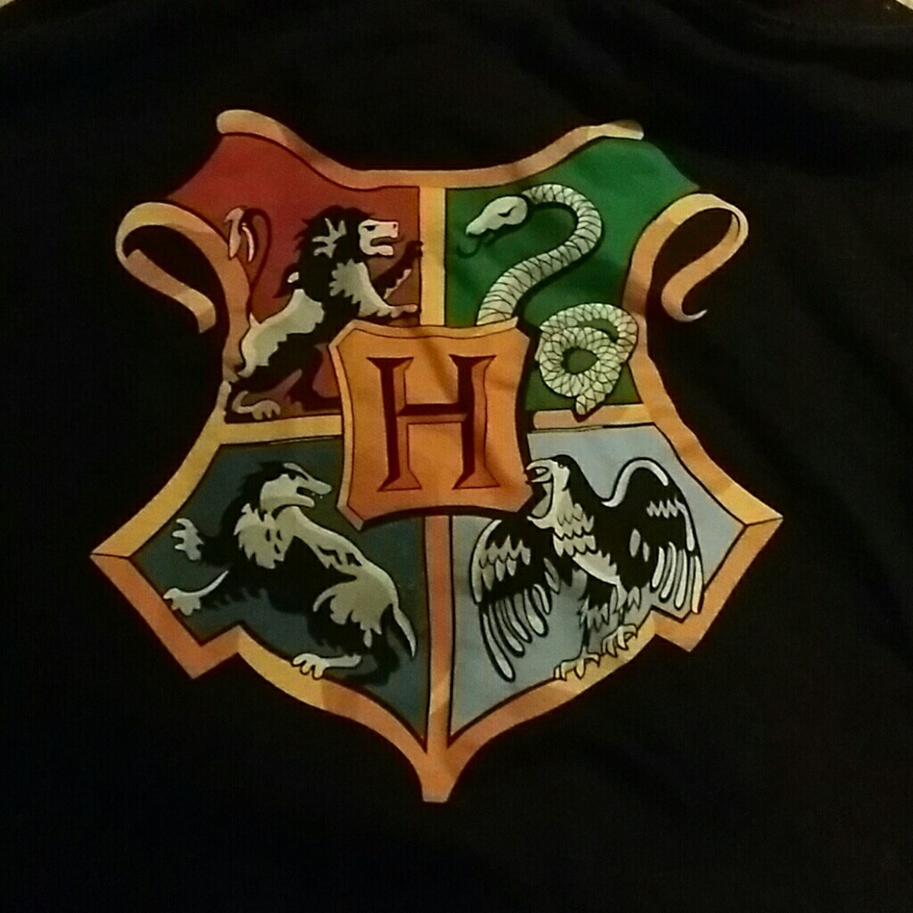 Harry Potter Hogwarts Crest Hoodie Hot Topic