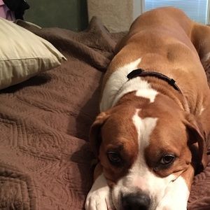 Meet your Posher, Tammy