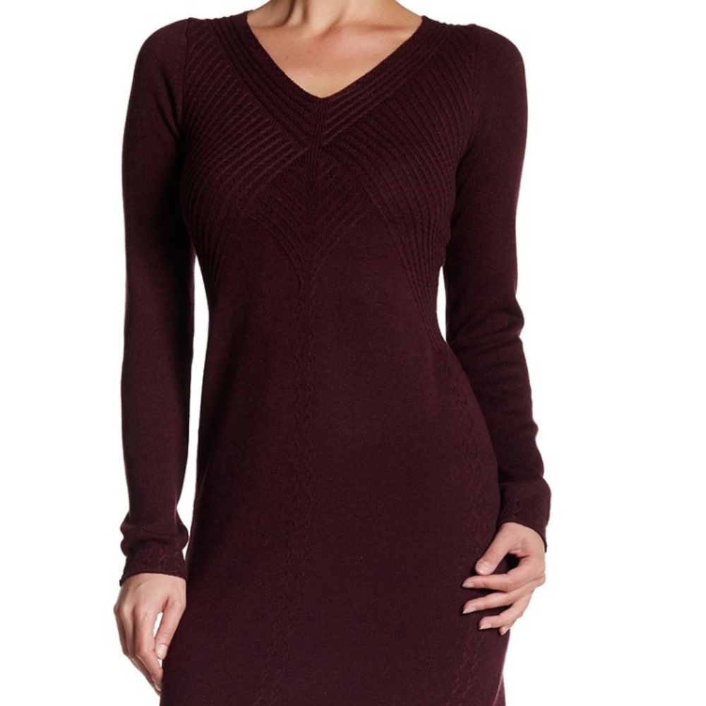 Max Studio | Maroon Sweater Dress