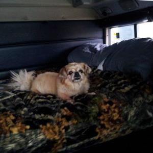 Meet your Posher, Leachia