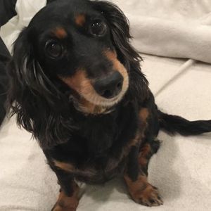 Meet your Posher, Mami