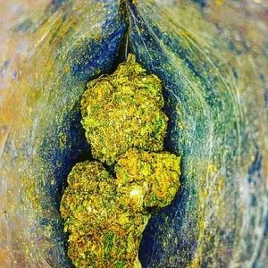 Meet your Posher, Austin