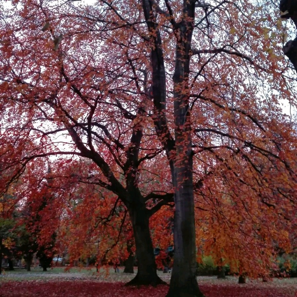 Meet your Posher, Monika