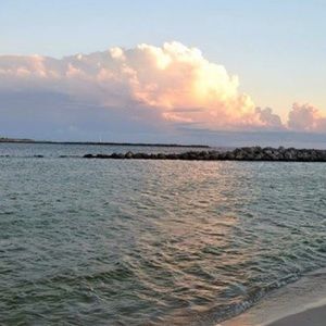 Meet your Posher, Trisha