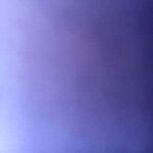 Meet your Posher, Joey