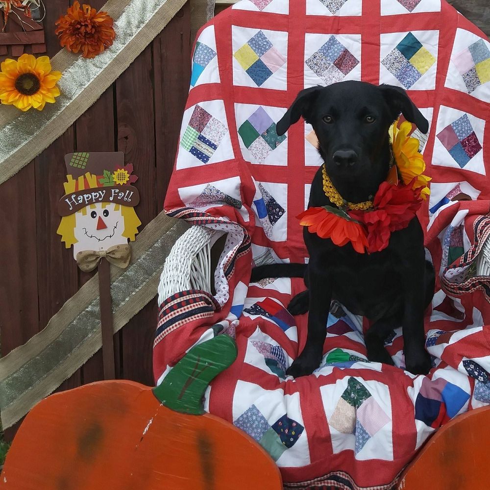 Meet your Posher, Kelly