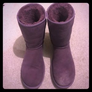 Classic short plum uggs