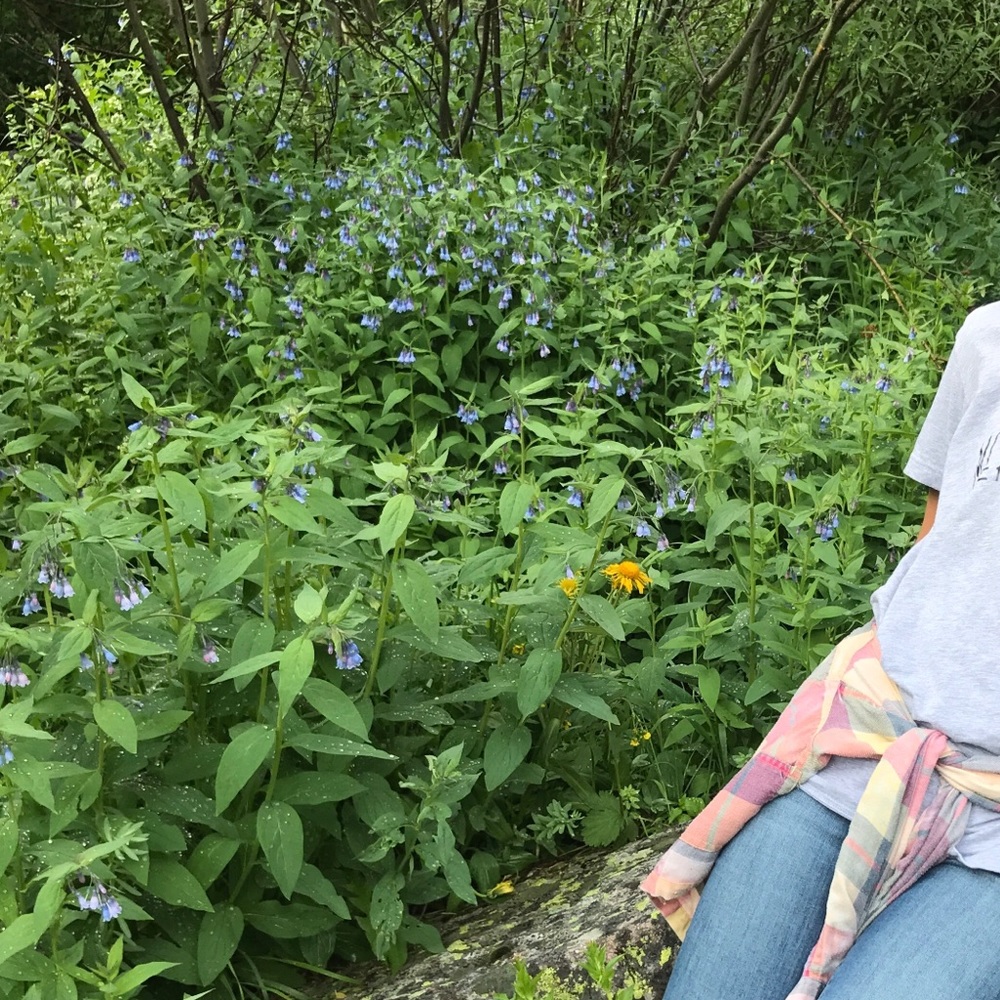 Meet your Posher, Nicole