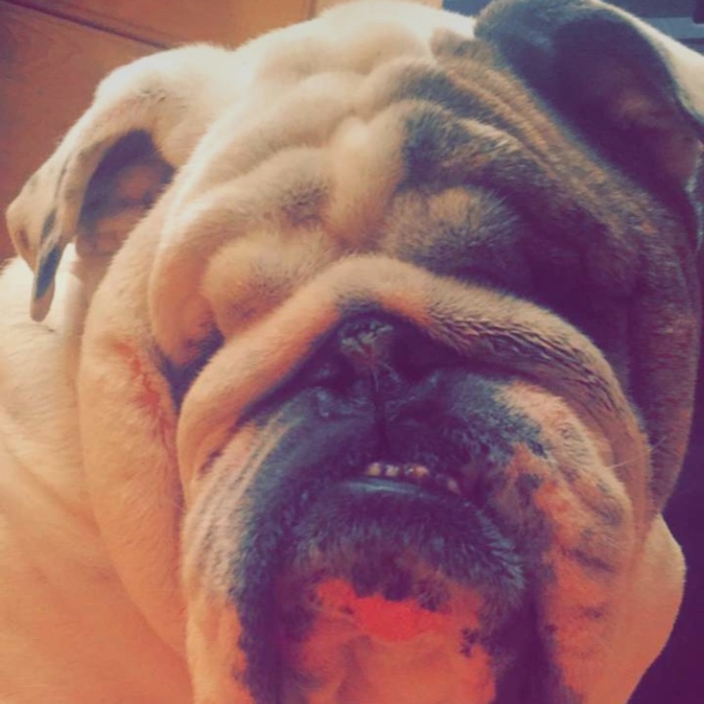 Meet your Posher, Stone