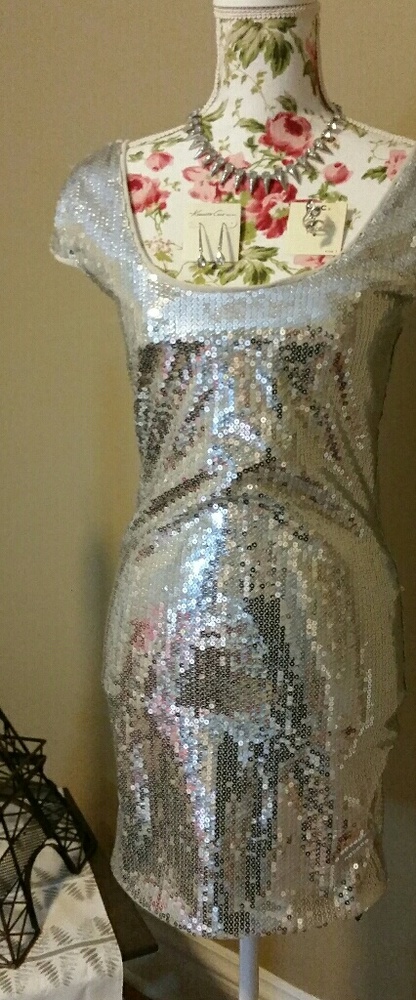 Silver sparkly sequined show stopper
