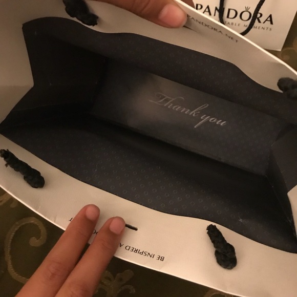 Pandora gift bags🛍🎁🎀 - Picture 3 of 7