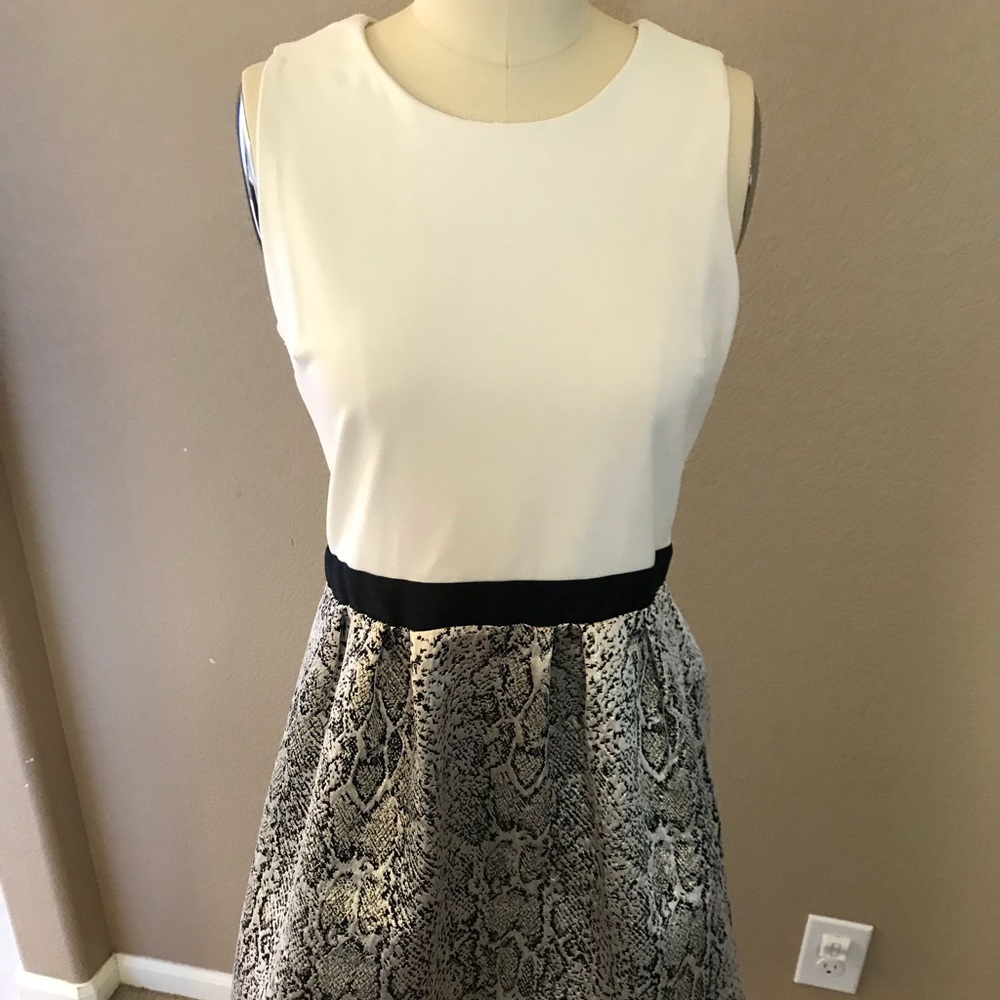 Perfect Party Dress!