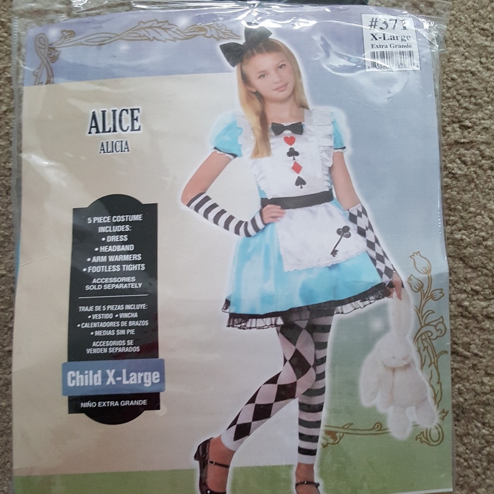Alice in wonderland costume