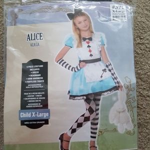 Alice in wonderland costume