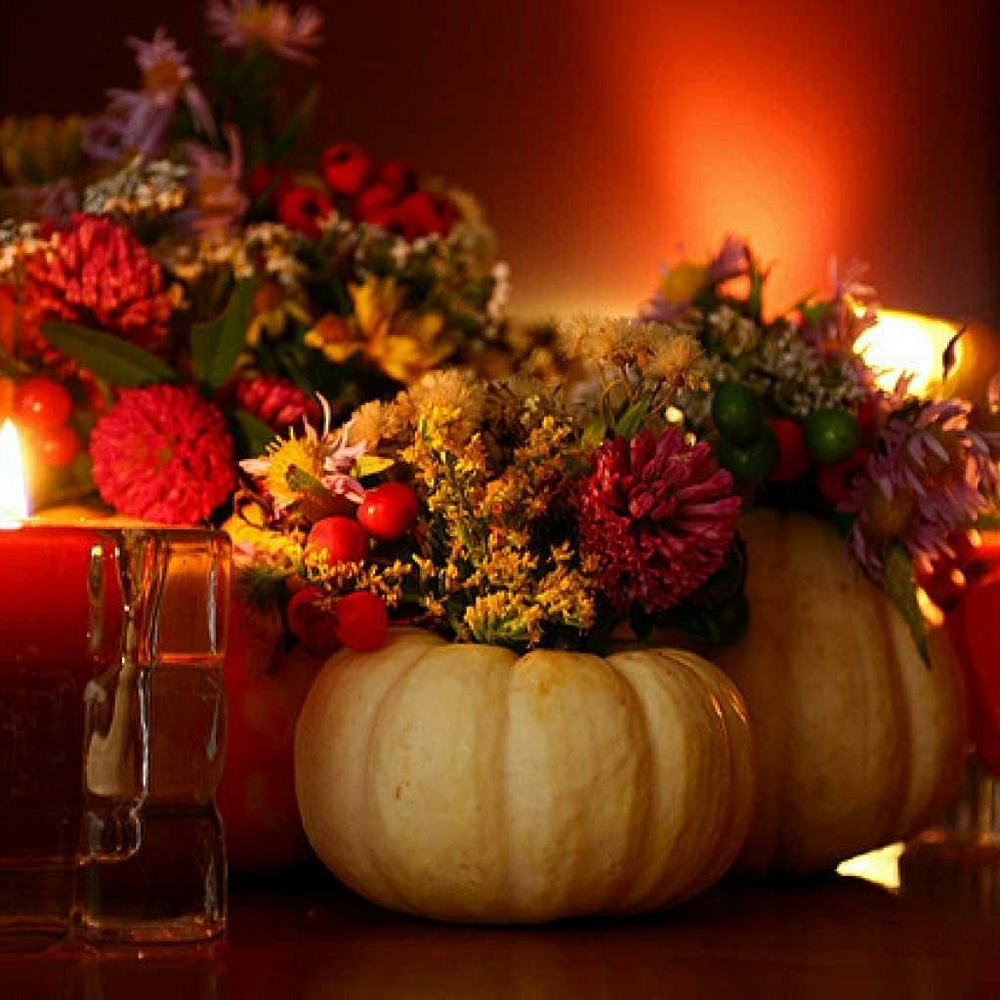 Thanksgiving Holiday Hiatus