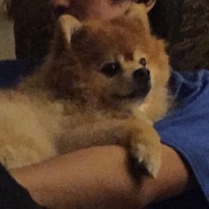 Meet your Posher, Catherine