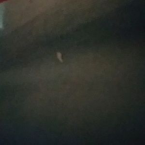 Meet your Posher, Trinity