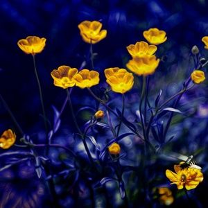 Meet your Posher, Kerry