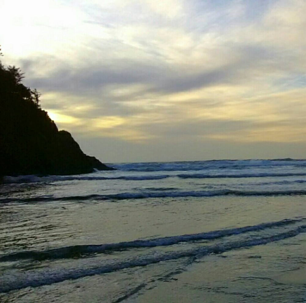 DISCOUNTED SHIPPING!?