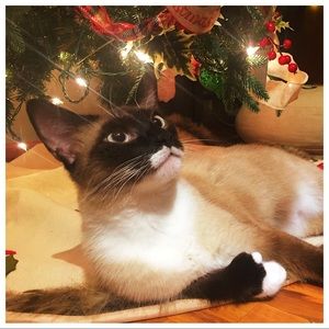 Meet your Posher, Adam