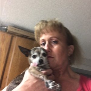 Meet your Posher, Kim