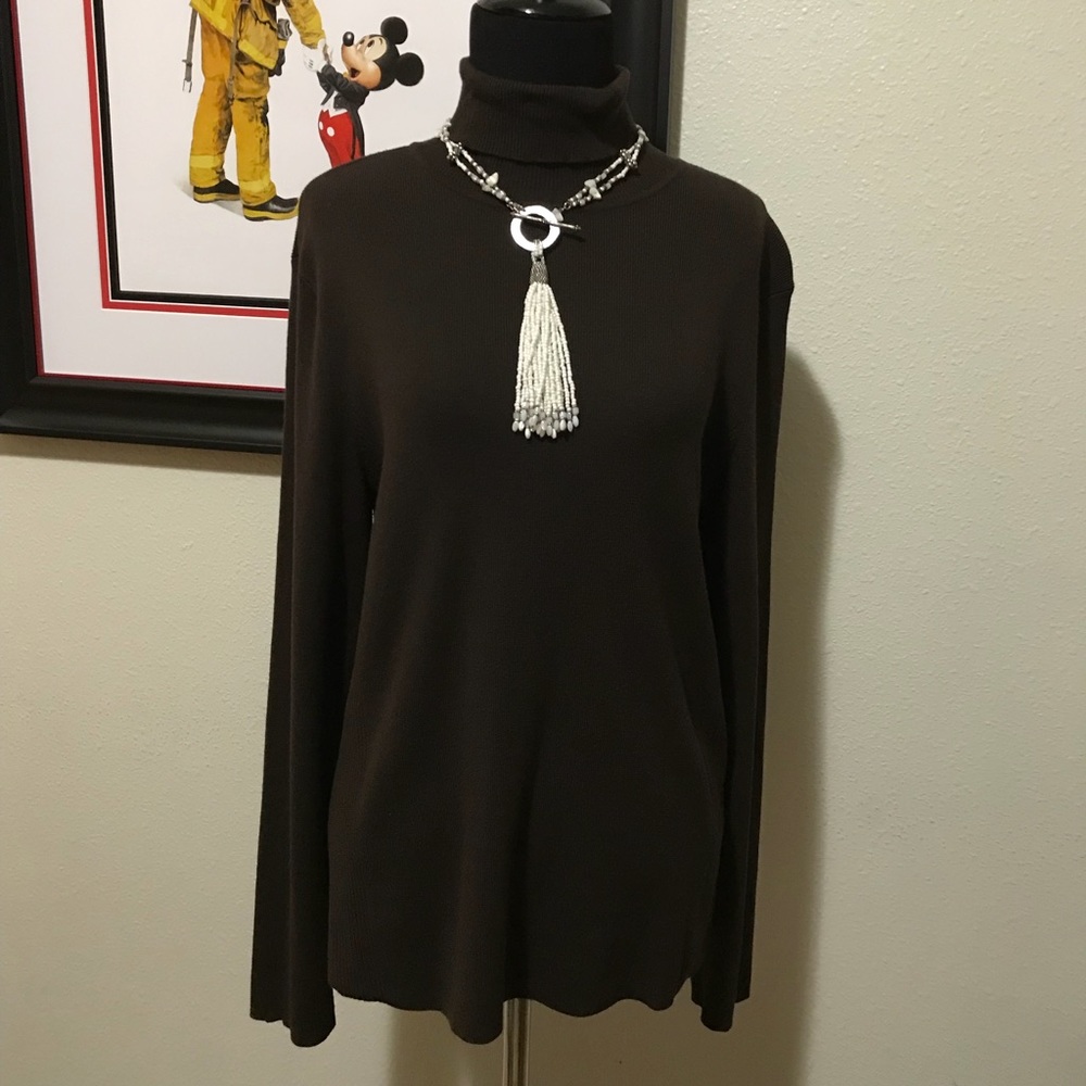 Chicos Brown Turtle Neck sz 2 (Large, 12)