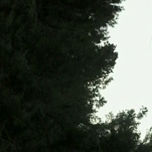 Meet your Posher, Frederick