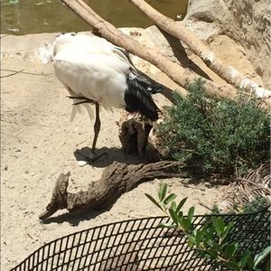 Meet your Posher, Megha