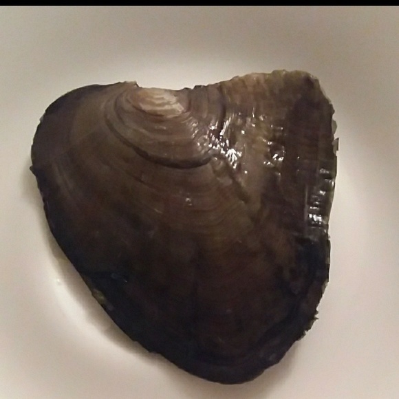 SALESnowman necklace with surprise pearl in oyster - Picture 2 of 6