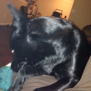 Meet your Posher, Gary