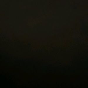 Meet your Posher, Giselle