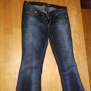 Source of Wisdom Jeans from Torrid 18 short