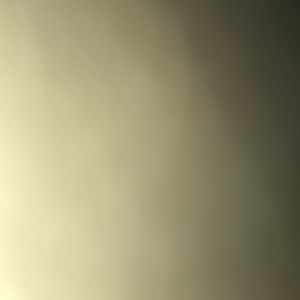 Meet your Posher, Billy