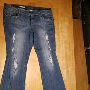 Decree Distressed Jeans size 19