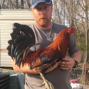 Meet your Posher, Daniel