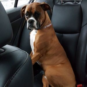 Meet your Posher, Leslie