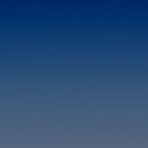 Meet your Posher, Sophie