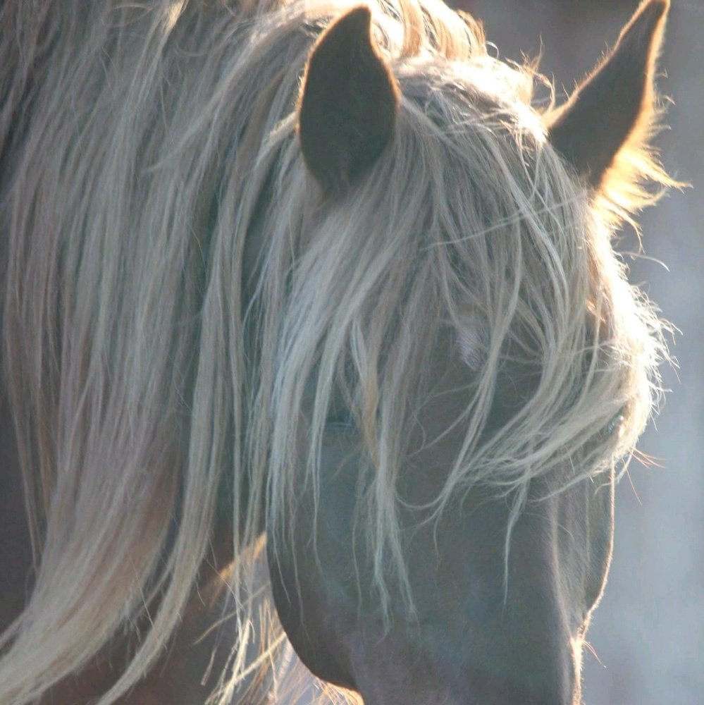 Meet your Posher, Sandi