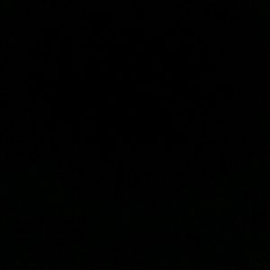 Meet your Posher, Emoni